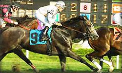 iasbet|aust horse racing tips.